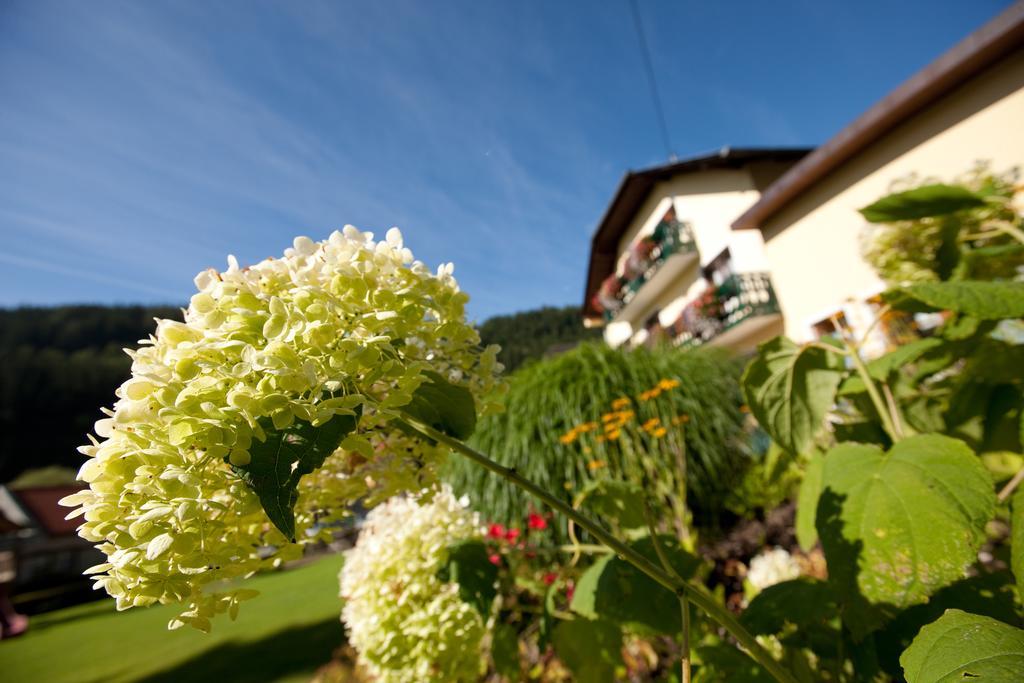 Hotel Moenichwalderhof Monichwald Екстериор снимка